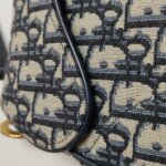 Dior Saddle Oblique — фото 15