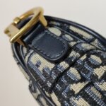 Dior Saddle Oblique — фото 17