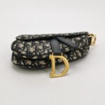 Dior Saddle Oblique — фото 6