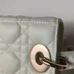 Dior Lady Dior Logo — фото 16