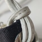 Celine Crossbody — фото 27