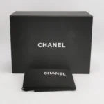 Chanel 19 Bag (Шанель) — фото 9