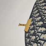 Dior 30 Montaigne Oblique CD — фото 14