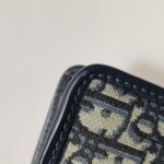 Dior 30 Montaigne Oblique CD — фото 16