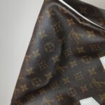 Louis Vuitton Speedy 25 Monogram — фото 18