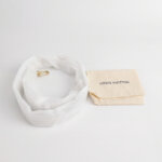 Louis Vuitton Speedy 25 Monogram — фото 9