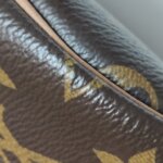 Louis Vuitton Speedy Nano Monogram — фото 20