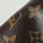 Louis Vuitton Speedy Nano Monogram — фото 22