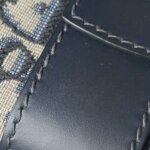 Dior 30 Montaigne Oblique CD — фото 16