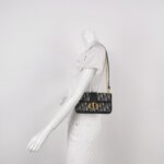 Dior 30 Montaigne Oblique CD — фото 2