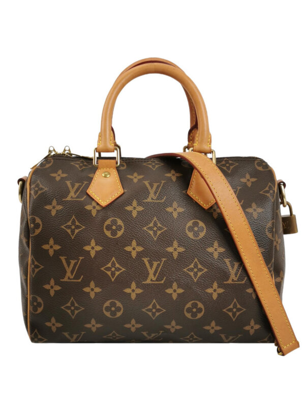 Louis Vuitton Speedy 25 Monogram — продано
