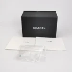 Chanel Classic Flap Mini (Шанель) — фото 9