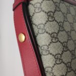 Gucci 1955 GG — фото 12