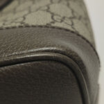 Gucci Ophidia — фото 13