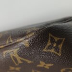 Louis Vuitton Neverfull Monogram — фото 20