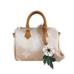 Louis Vuitton Monogram — миниатюра 1