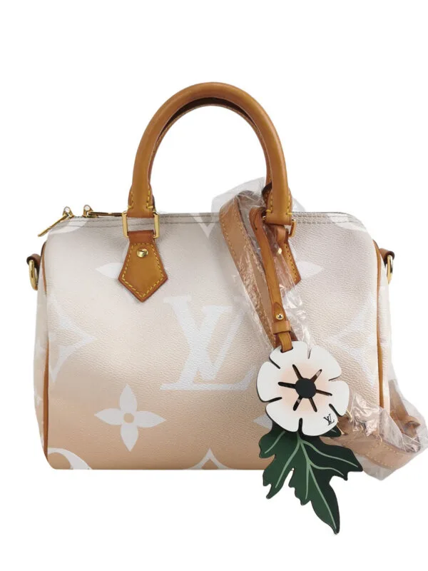 Louis Vuitton Monogram — продано