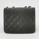 Chanel Quilted Lambskin Crossbody (Шанель) — фото 5