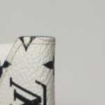 Louis Vuitton Pochette — фото 16