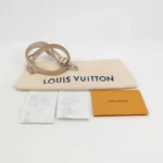 Louis Vuitton Buci (Луи Виттон) — фото 9