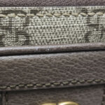 Gucci Ophidia — фото 10