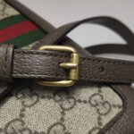 Gucci Ophidia — фото 13