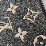 Louis Vuitton Pochette Félicie Monogram — фото 12