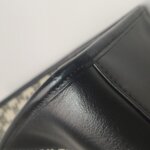 Celine Triomphe — фото 17