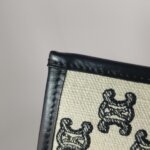 Celine Triomphe — фото 18