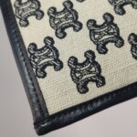 Celine Triomphe — фото 21