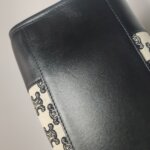 Celine Triomphe — фото 22