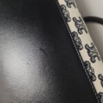 Celine Triomphe — фото 25