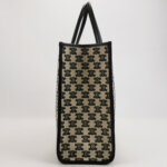 Celine Triomphe — фото 4