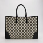 Celine Triomphe — фото 5