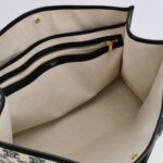 Celine Triomphe — фото 7