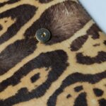 Saint Laurent Chyc — фото 11