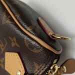 Louis Vuitton Monogram Nano — фото 15