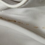 Bottega Veneta Beak — фото 10