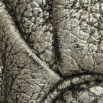 Celine Bitter Sweet — фото 15