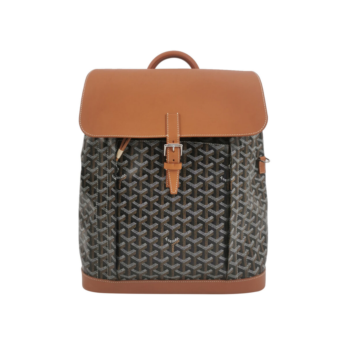 Goyard Alpin Y — фото 1