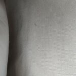 Miu Miu Ivy logo — фото 10