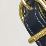 Celine Triomphe — фото 12