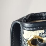 Celine Triomphe — фото 17