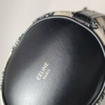 Celine Triomphe — фото 18