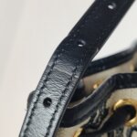 Celine Triomphe — фото 19