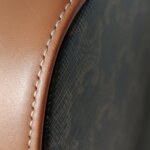 Celine Triomphe Canvas logo — фото 14