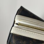 Celine Triomphe Canvas — фото 16