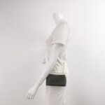 Celine Triomphe Canvas — фото 2