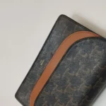 Celine Triomphe Canvas (Селин) — фото 13