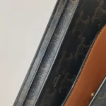 Celine Triomphe Canvas (Селин) — фото 15